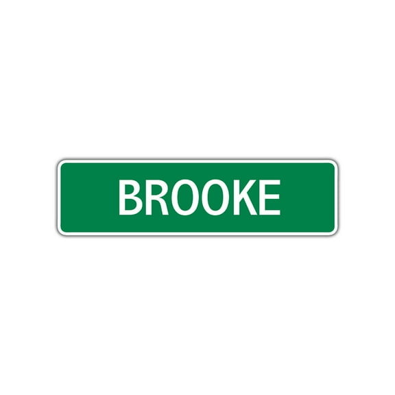 Brooke Girls Children Indoor Outdoor Unique Wall Novelty Name Letter Printed Plaque Decoration Label Aluminum Metal Sign 4"x13.5"