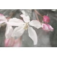 thumbnail image 2 of Stalus, Judy 32x23 White Modern Wood Framed Museum Art Print Titled - Gray Velvet II, 2 of 4