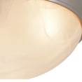 thumbnail image 2 of 57702 BN-Trans Globe Lighting-16 Inch Large Flush Mount-Brushed Nickel Finish, 2 of 2