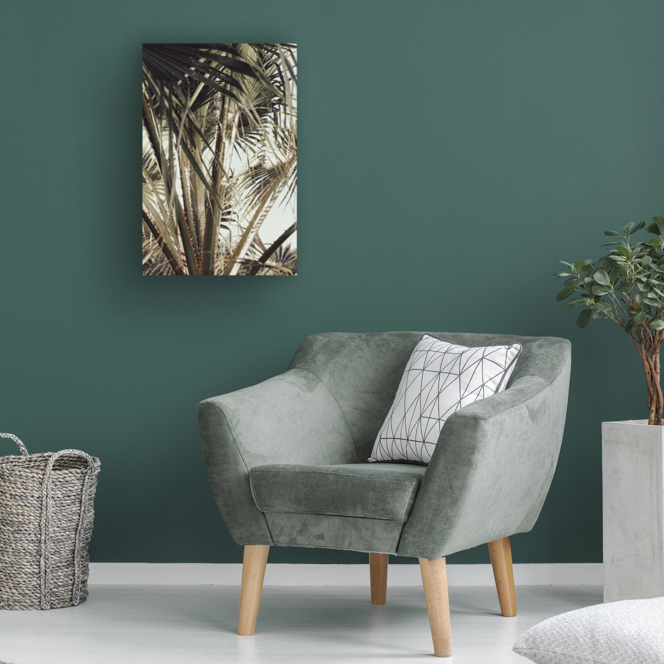 Trademark Fine Art Pictufy Studio Palmblad Canvas Wall Art