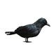 thumbnail image 5 of Adorno Decorativo de Halloween Macarena Cuervo para Fiesta, 5 of 8