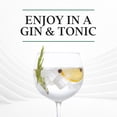 thumbnail image 4 of Caliber London Extra Dry Gin, 1.75L, 80 Proof, 4 of 8