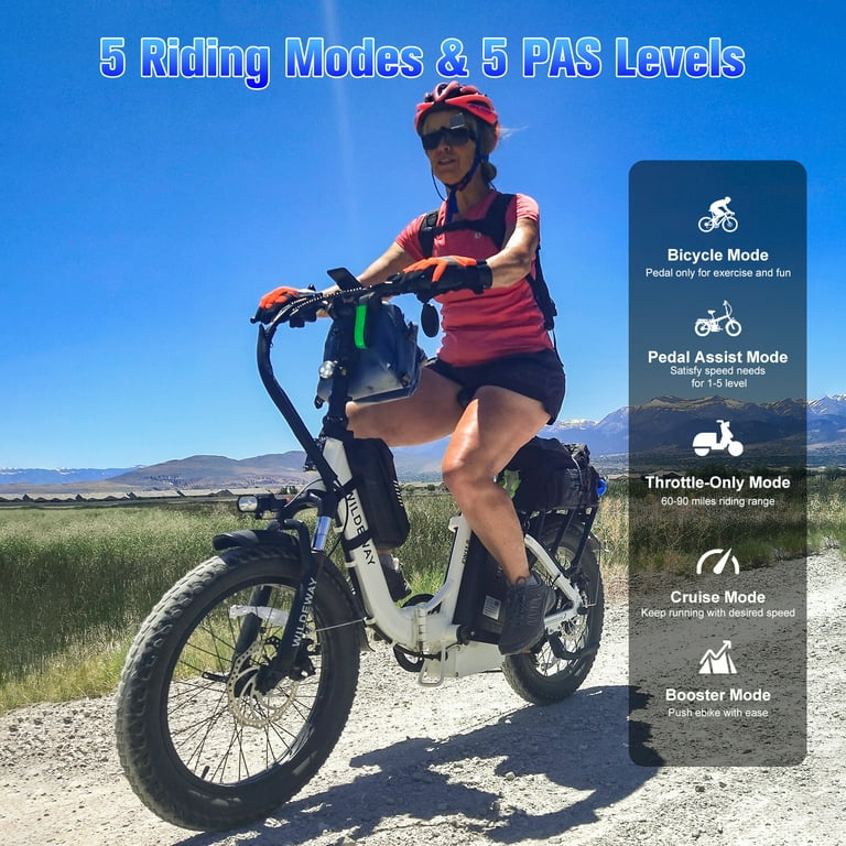 Wildeway Foldable Electric Bike, All-Terrain, 750w Motor, 48v 32ah