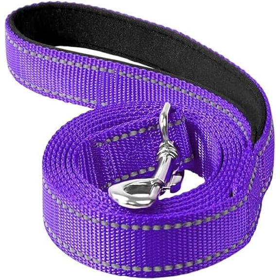 Eryueer Reflective Dog Leash 4ft Soft Padded Handle Nylon Lead for Small & Medium Dogs, Durable Walking Training Leash for Night Safety (Purple,1Inch Wide)