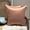 Copper, variant on The HomeCentric Luxury Lumbar Pillow Cover Copper Pack Of 2, 12"x20" (30x50 cm) Art Silk Plain & Solid Oblong Pillow Cover, Solid Modern Style - Copper Luxury