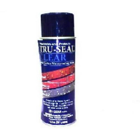 Thru Valve - CS1 Tru-Seal Aerosol Clear Waterproofing Sealer Spray