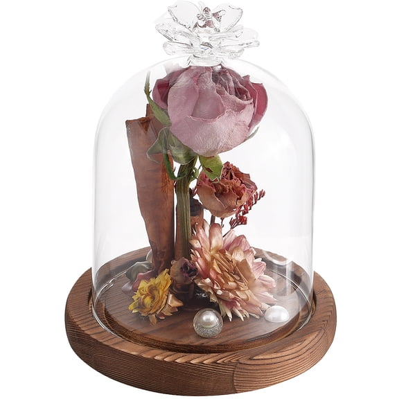 1bag Glass Display Dome 92x132mm Glass Cloche Bell Jar with Wooden Base Clear Glass Cloche Domes Small Glass Dome Decorative Jars Display Case