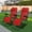 Red, variant on Geniqua 2X Zero Gravity Chairs Folding Recliner Yard Outdoor Beach Patio Lounge [Black]