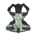 thumbnail image 4 of Lsque Vintage Rose1 Dog Harness, No-Pull Pet Harness with 2 Leash Clips, Adjustable Soft Padded Dog Vest with Easy Control Handle for Large Dogs-Small, 4 of 9