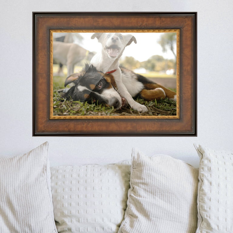 CustomPictureFrames.com 30x40 Royal Brown and Gold Real Wood Picture Frame Width 3 Inches | Interior Frame Depth 0.5 Inches | Faxon Traditional Photo
