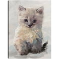 thumbnail image 1 of Cuadro Decorativo - Bonita gatita I Jr  Impresión en canvas, estrechado, 1 of 2