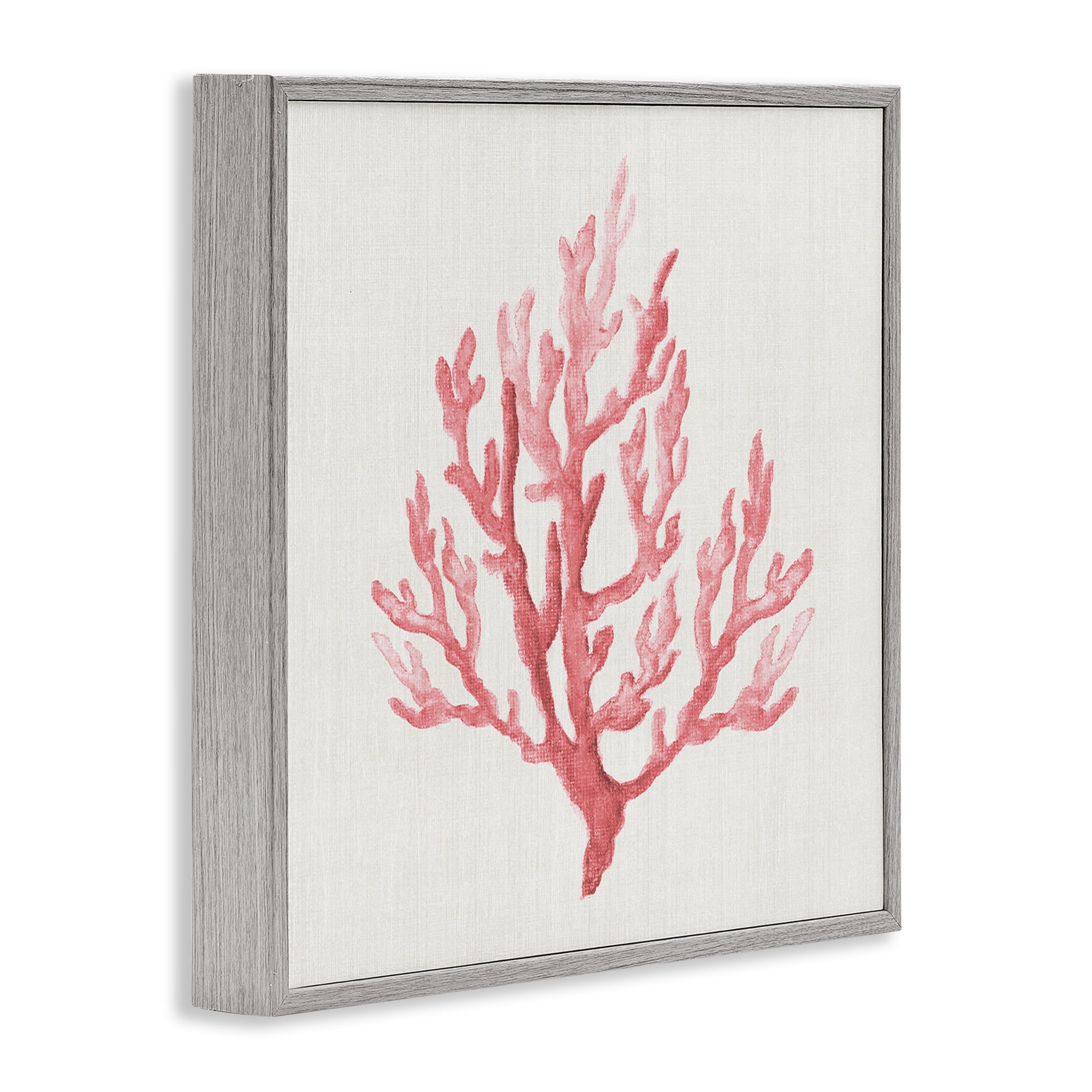 Stupell Industries Muted Pink Coral Branch Gray Framed Giclee Art, design by Janet Tava