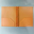 thumbnail image 2 of Less Than 5 Office&Craft&Stationery PP Tadpole Clip Double Bag Folder Plastic File Bag Storage Folding Folder, 2 of 9