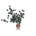 thumbnail image 1 of Boule de Bonsaï Noire, 1 of 7