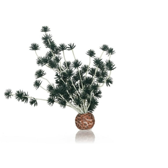 Bonsai Ball Black