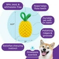 thumbnail image 3 of Outward Hound Dental Pineapple 2-in-1 Dog Chew Toy and Treat Stuffer, Medium, Yellow, 3 of 8