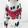 thumbnail image 5 of Harnais en Cuir Clouté pour Chiot, Gilet pour Petites Races, 5 of 5