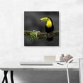 thumbnail image 2 of ARTCANVAS Toucan Bird Green Branch Forest Canvas Art Print - Size: 18" x 18" (0.75" Deep), 2 of 9