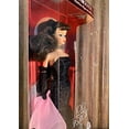 thumbnail image 2 of Barbie Solo In The Spotlight Special Edition Reproduction, 2 of 5