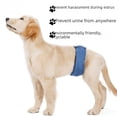 thumbnail image 3 of Pantalones antiacoso para perros, ropa interior impermeable y lavable, suministros para mascotas, cinturón de sujeción para perros, 3 of 4