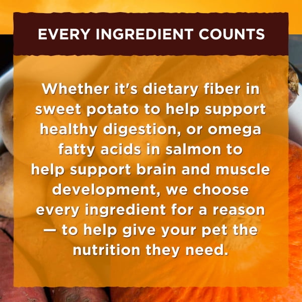 nature's recipe grain free variety pack