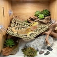 thumbnail image 4 of Cififendec Hand Woven Reptile Hammock, 15.74", Suction Cup Hanging Lizard Snake Climbing Bed Natural Fiber Terrarium Landscape Decor for Amphibian Habitat, 4 of 5