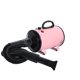 thumbnail image 1 of Methold CN Plug Pets Grooming Secador de pelo Reducción de ruido Fuerte potencia Secado rápido 2 engranajes Dispositivo de soplador de calor ajustable Suministros para perros Rosado Methold PT003874-04, 1 of 6