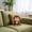 A, variant on Huanglei Cute Soft Cuddle Peach Monkey Toy Children Pillow Doll Cute Monkey Doll