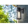 thumbnail image 2 of 204559A-Eglo Lighting-Abner - One Light Outdoor Wall Mount Matte Black Finish with Clear Seedy, 2 of 2