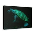 thumbnail image 2 of Terrapin Hunting Terrapin on Hunt Print Animal Wall Art Wildlife Canvas Prints Wall Art Ready to Hang Unframed, 2 of 18