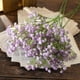 thumbnail image 1 of Alma Decorativa Dijes Doble Puntas, Pequeñas Floraciones Artificial, Accesorios de peinado para bodas, Fotografa de bodas, Props de bodas, Pequeñas alpiste, Accesorios de peinado para, 1 of 6