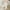 Beige, variant on Jsaierl Knee High Boots for Women Gogo Boots 70s Boots,Leather Pointed Toe Chunky Knee High Platform Dress Boots, Fashion Long Chunky Tall Gogo Boots for Fall