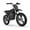 Black, variant on RFN Warrior Kids150 24V Kids Electric Dirt Bike, 150W Motor, 2-Speed Modes, 8 MPH Max Speed, Removable 5.2Ah Battery, 12x2.4" Off-Road Tires, Rear Disc Brake