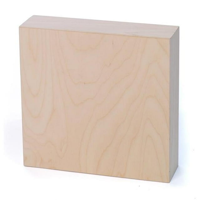 Panneau de Peinture Économique 3 x 3 Po - Naturel