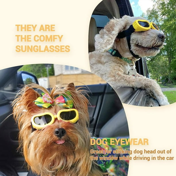 Dog hot sale driving goggles