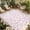 Pink, variant on Sage Green Botanical Outdoor Rug for Patio/Deck/Porch, Non-Slip Large Area Rug 6 x 9 Ft, Retro Blossom Floral Wildflower Indoor Outdoor Rugs Washable Area Rugs, Reversible Camping Rug Carpet Runner