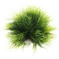 thumbnail image 1 of KAKOWELY Decoración de peceras, plantas de acuario, decoración artificial de plástico, decoración de peceras, plantas artificiales, 1 of 4