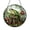 Acrylic 3.5 Inch, variant on Stained Glass Frog Window Hanging, Magical Toadstool Forest Theme, Woodland Nature Style Decor