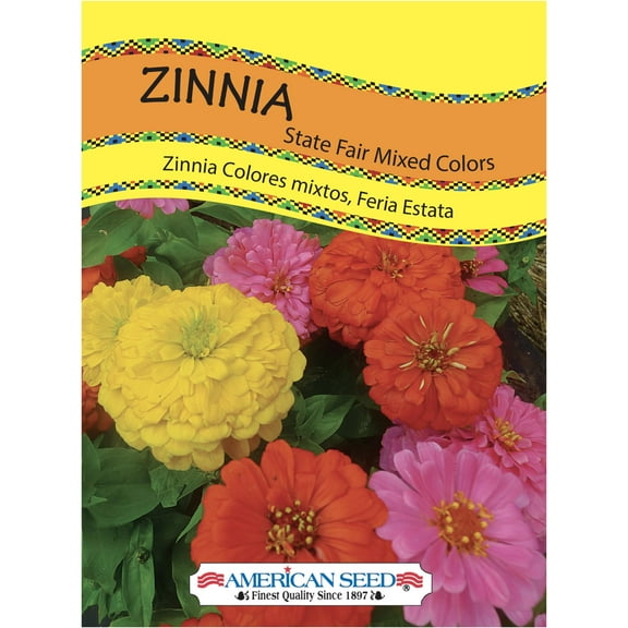 American Seed Zinnia State Fair Giant Mixed Colors Annual Flower Seeds Full Sun