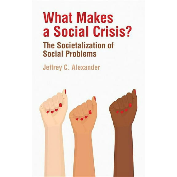 What Makes a Social Crisis?: The Societalization of Social Problems (Paperback)