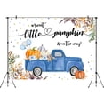 thumbnail image 2 of Polyester Photo Studio Backdrop, Little Pumpkin, It's a Boy, Blue, Multipack, 2 of 3