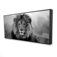 thumbnail image 1 of Lion Noir et Blanc - Impression Encadrée sur Toile par Édition Begin, 1 of 2