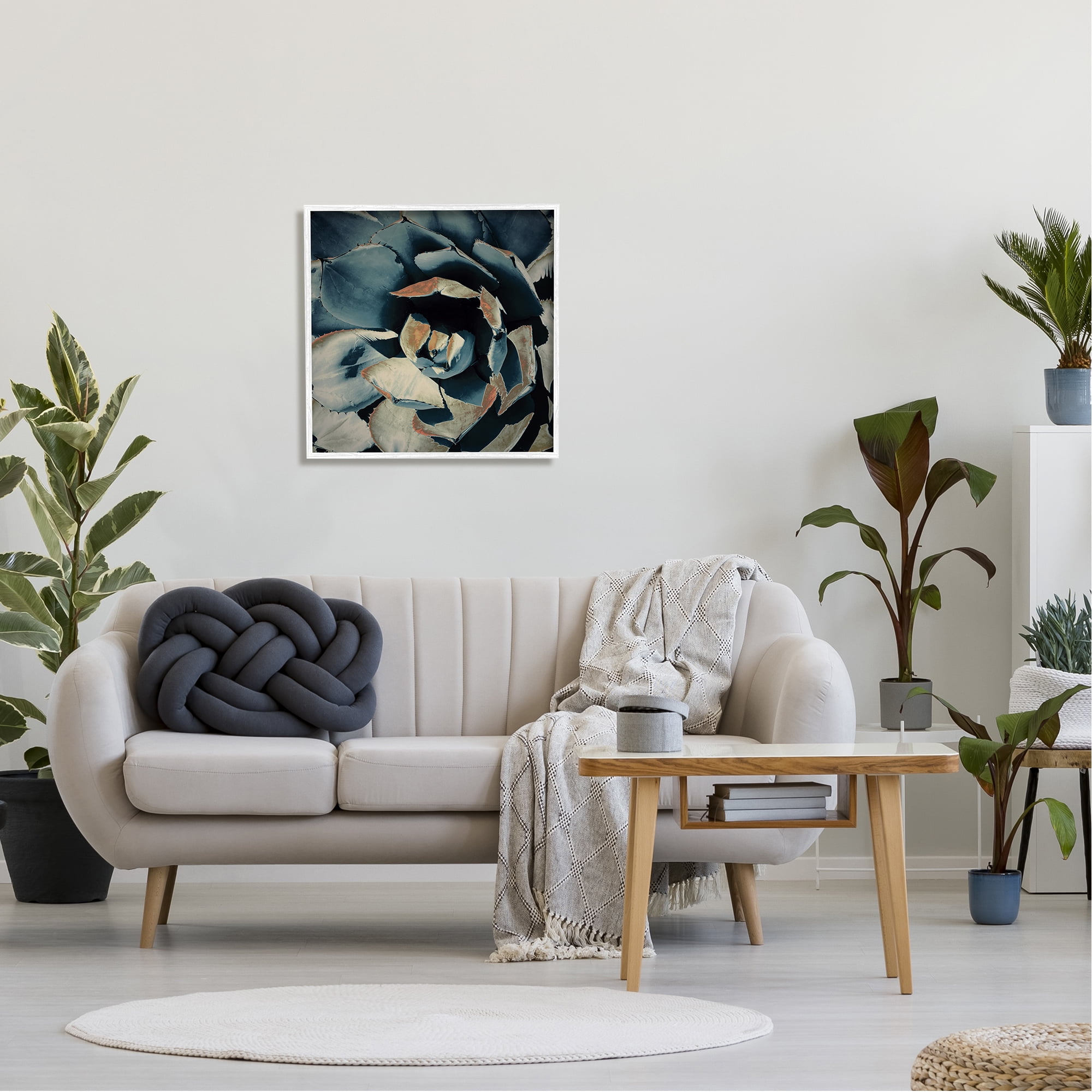 Stupell Industries Modern Succulent Leaves Botanical & Floral Painting White Framed Art Print Wall Art, 24 x 24