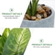 thumbnail image 5 of 1 unid Fake Monstera Planta Planta artificial Bonsai Imitation Green Plant Decoración del hogar, 5 of 8