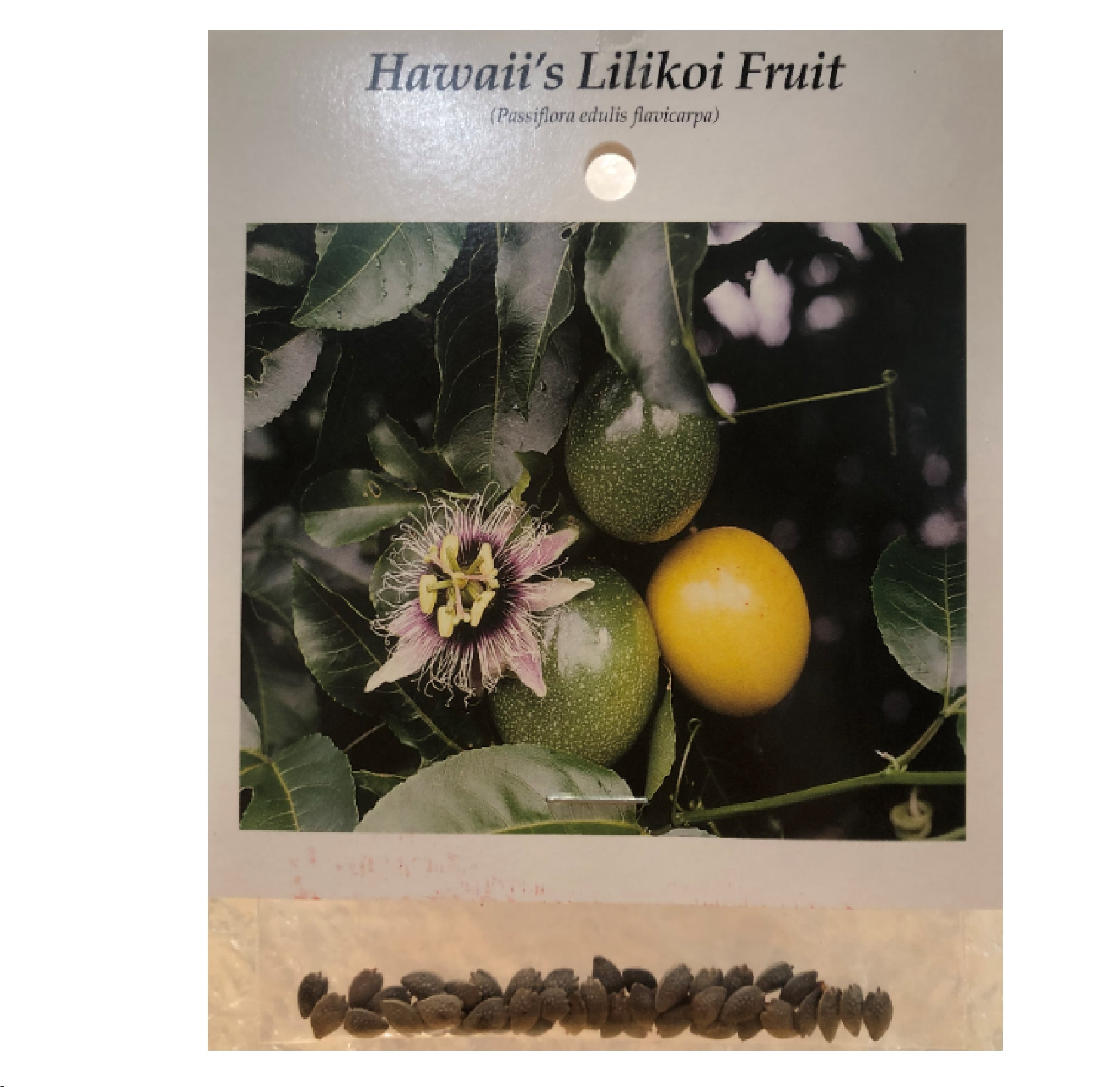 Tropical Lilikoi Passion Fruit Plant Seeds 4 Pk (20 Seeds per Pack) Full Sun