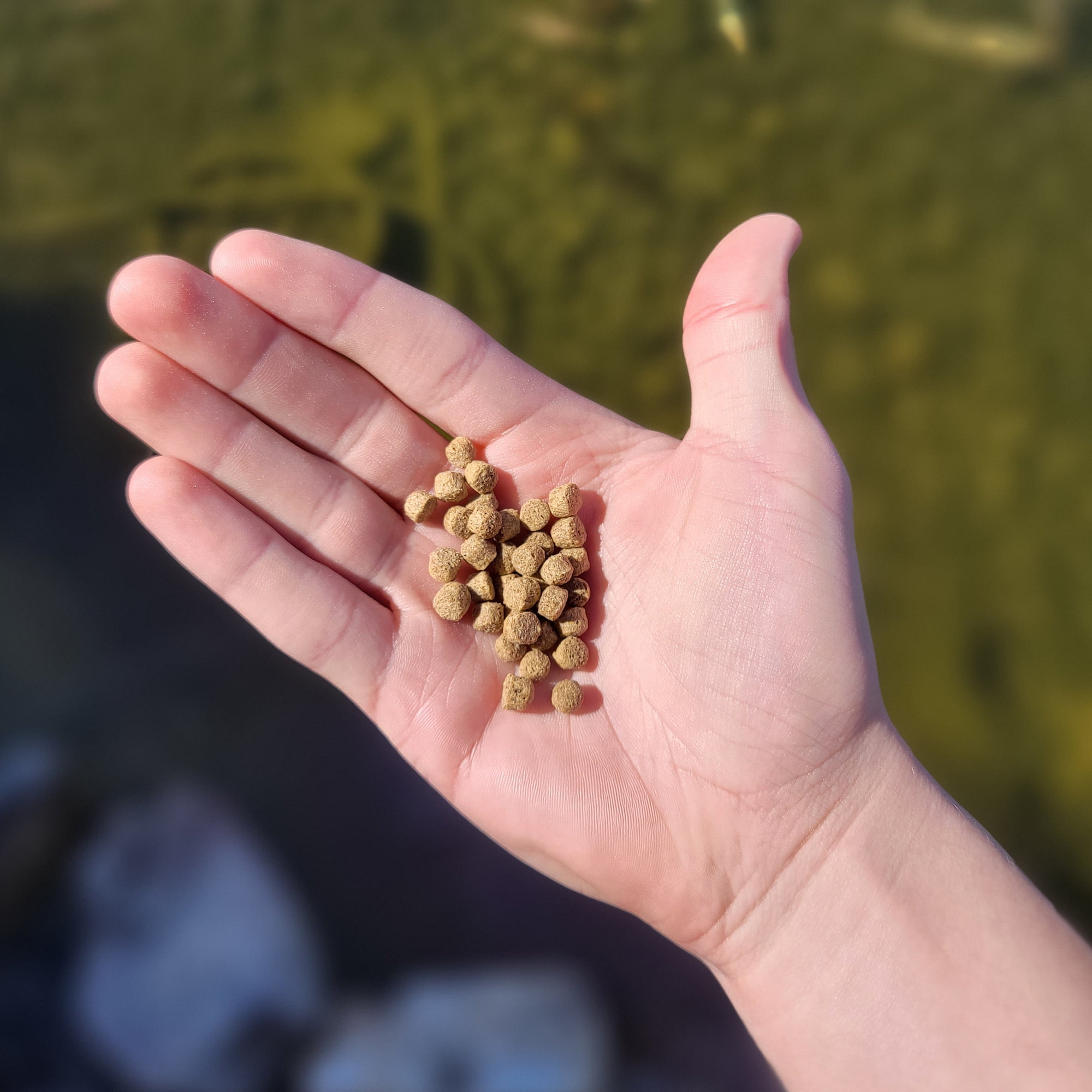 Half Off Ponds Grow Pro Koi and Goldfish 5mm Food Pellets, 20 lb Bag