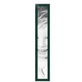 thumbnail image 2 of ArtToFrames 6" x 40" Other Picture Frame, 6x40 inch Multi MDF Poster Frame (WOM-5317),  Pack, 2 of 8