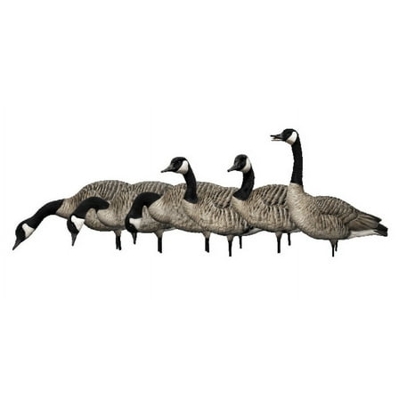Avian X AXP Honkers Fusion Pack Full Body Canada Goose Decoys with Ultra Realistic Paint, Flocked Heads