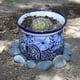 thumbnail image 3 of Piedras Decorativas De Río Nutrigarden Negras 8 Kg, 3 of 3