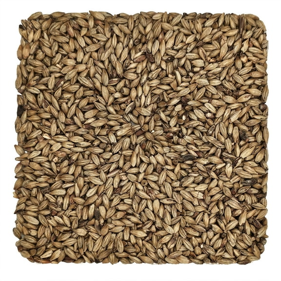 Home Brew Ohio Biscuit Grain 10lb